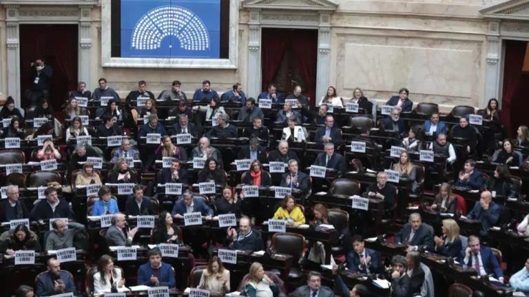 Diputados en sesión plenaria debatiendo proyectos legislativos en el Congreso Nacional de Argentina