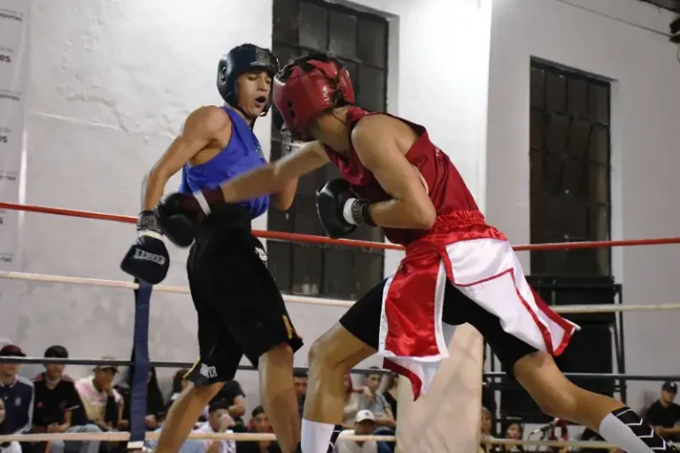 Boxeadores en pleno combate durante el Campeonato Regional de Boxeo en Concordia con público y ambiente deportivo en el gimnasio local