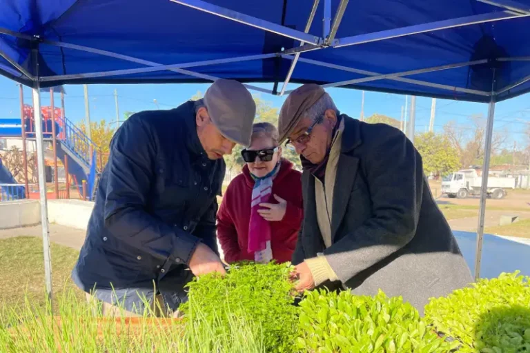 Entrega de plantines agroecológicos a familias del barrio Camba Paso en Concordia durante la campaña otoño-invierno 2025 de huertas familiares