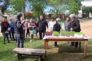Producción sustentable en huertas ecológicas, entrega de plantines