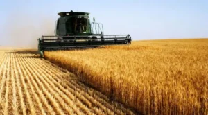 Maquinaria agrícola trabajando en el campo durante la cosecha