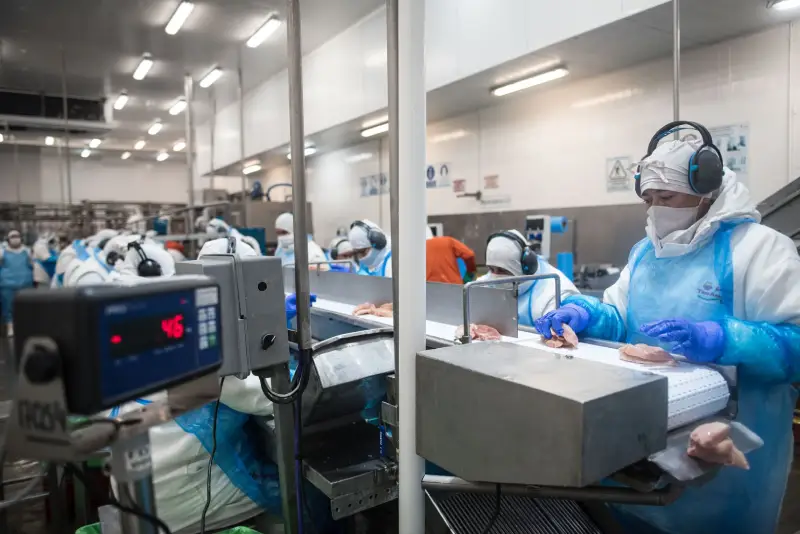 Planta de procesamiento de productos de carne aviar