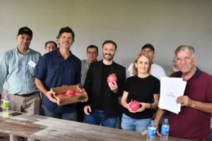 Productores de pitaya en Concordia impulsan producción regional