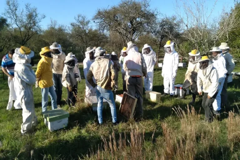Crédito internacional para mejorar la apicultura en Entre Ríos