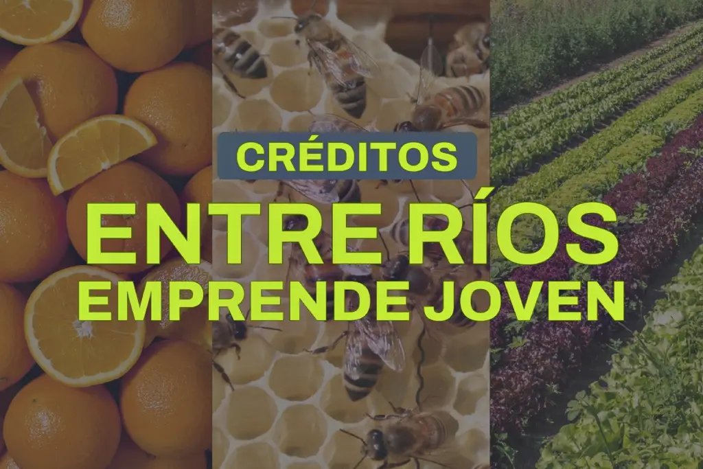 Presentación del programa Entre Ríos Emprende Joven, que abrió la convocatoria para otorgar créditos a tasa 0% destinados a emprendimientos de horticultura, citricultura y apicultura.
