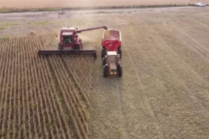 maquinaria de agro cosechando